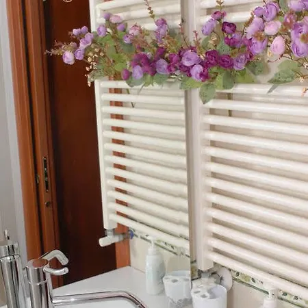 Gerbera Bed and breakfast